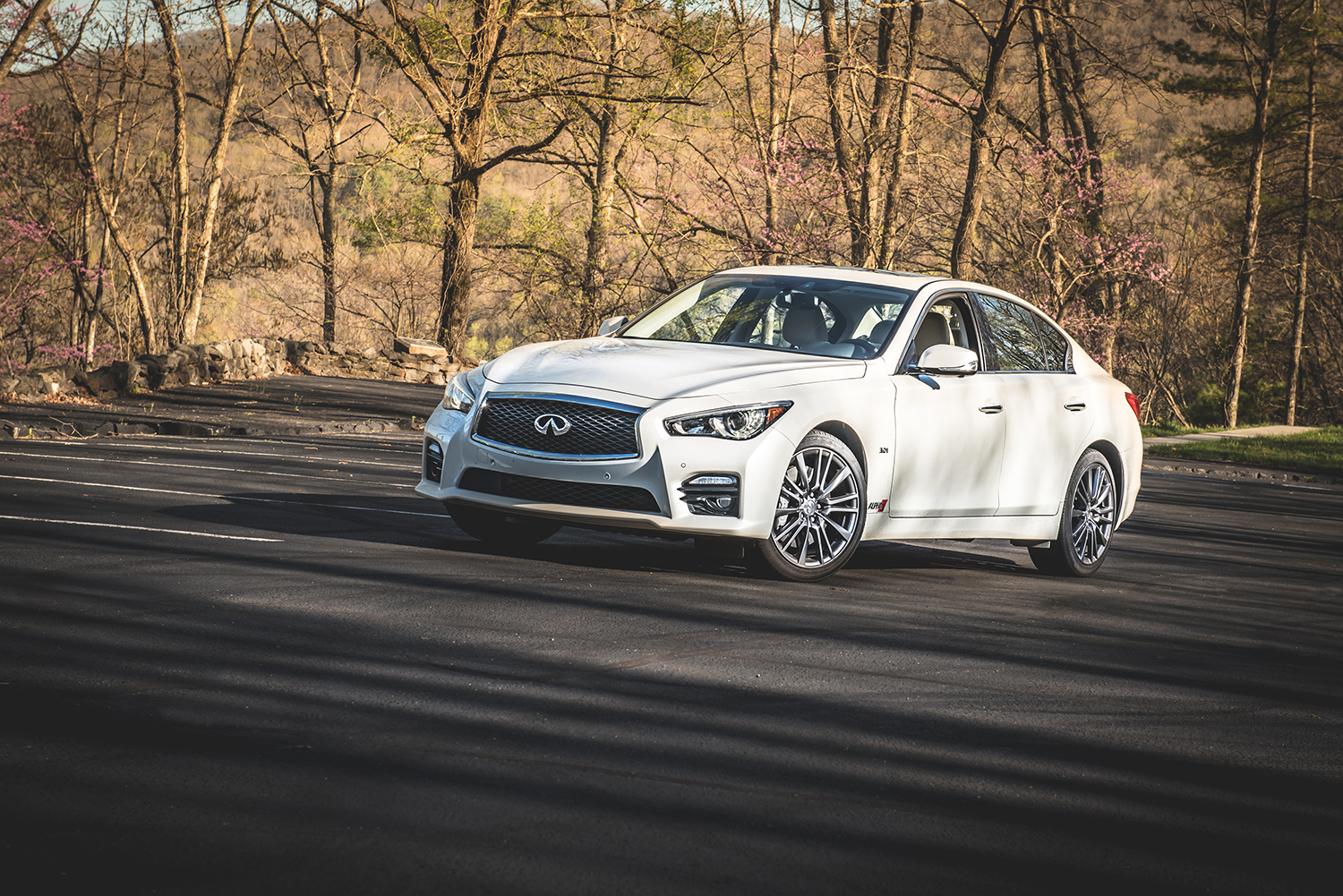 Q50 Q60 Red Alpha Project - AMS Performance