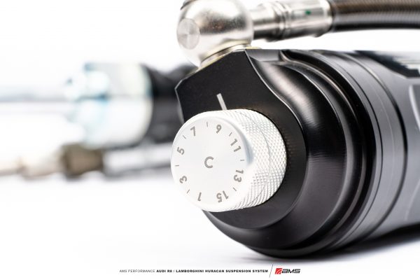 AMS V10 Suspension 11