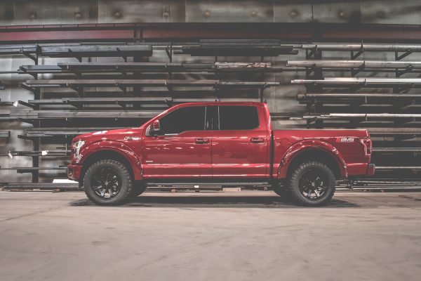 AMS_Ford_F150_martin_small.jpg